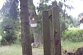 DSC05245 - Bernhard Saalfeld