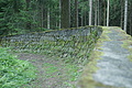 DSC05246 - Bernhard Saalfeld