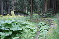 DSC05249 - Bernhard Saalfeld