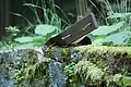 DSC05250 - Bernhard Saalfeld