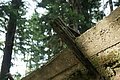 DSC05251 - Bernhard Saalfeld