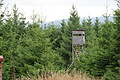 DSC05255 - Bernhard Saalfeld
