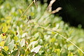 DSC05280 - Bernhard Saalfeld