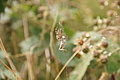DSC05286 - Bernhard Saalfeld