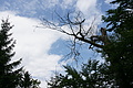 DSC05290 - Bernhard Saalfeld