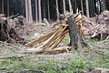 DSC05291 - Bernhard Saalfeld