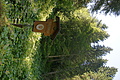 DSC09045 - Bernhard Saalfeld