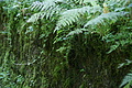 DSC09048 - Bernhard Saalfeld