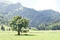 DSC09053 - Bernhard Saalfeld