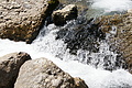 DSC09058 - Bernhard Saalfeld