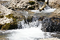 DSC09060 - Bernhard Saalfeld
