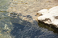 DSC09061 - Bernhard Saalfeld