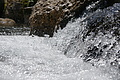 DSC09064 - Bernhard Saalfeld
