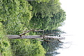 DSC09065 - Bernhard Saalfeld