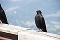 DSC09088 - Bernhard Saalfeld