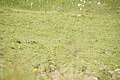 DSC09120 - Bernhard Saalfeld