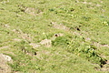 DSC09124 - Bernhard Saalfeld