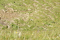 DSC09126 - Bernhard Saalfeld