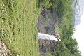 DSC09158 - Bernhard Saalfeld