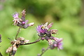 DSC09203 - Bernhard Saalfeld