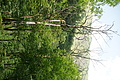DSC09206 - Bernhard Saalfeld