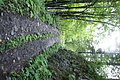 DSC09207 - Bernhard Saalfeld
