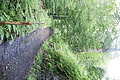 DSC09208 - Bernhard Saalfeld