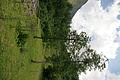 DSC09214 - Bernhard Saalfeld