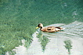 DSC09219 - Bernhard Saalfeld