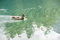 DSC09221 - Bernhard Saalfeld