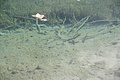 DSC09225 - Bernhard Saalfeld