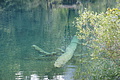 DSC09229 - Bernhard Saalfeld