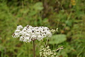 DSC09233 - Bernhard Saalfeld