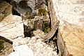 DSC09246 - Bernhard Saalfeld