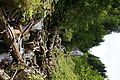 DSC09280 - Bernhard Saalfeld