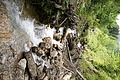 DSC09286 - Bernhard Saalfeld