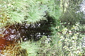 DSC09299 - Bernhard Saalfeld