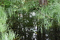 DSC09300 - Bernhard Saalfeld