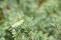 DSC09302 - Bernhard Saalfeld
