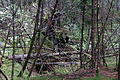 DSC09311 - Bernhard Saalfeld
