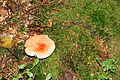 DSC09312 - Bernhard Saalfeld