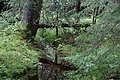 DSC09315 - Bernhard Saalfeld
