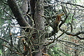 DSC09317 - Bernhard Saalfeld