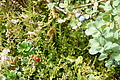 DSC09320 - Bernhard Saalfeld