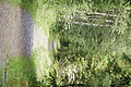 DSC09323 - Bernhard Saalfeld