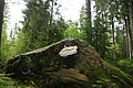 DSC09325 - Bernhard Saalfeld