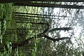 DSC09326 - Bernhard Saalfeld