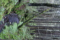 DSC09331 - Bernhard Saalfeld