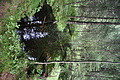 DSC09333 - Bernhard Saalfeld