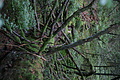 DSC09335 - Bernhard Saalfeld